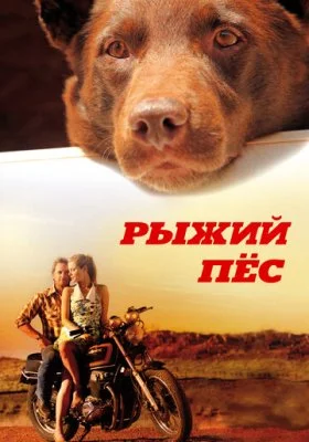 Рыжий пес Рыжий пес все фильмы