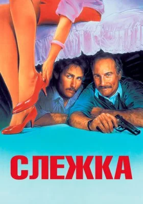 Слежка