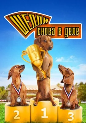 Шелли снова в деле